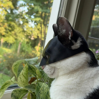 VOSOPRO™ - The Viral Batman Mask For Your Cat