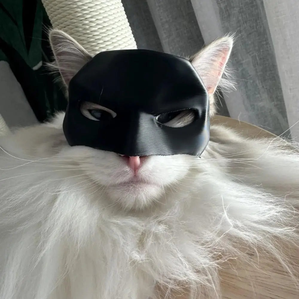 VOSOPRO™ - The Viral Batman Mask For Your Cat